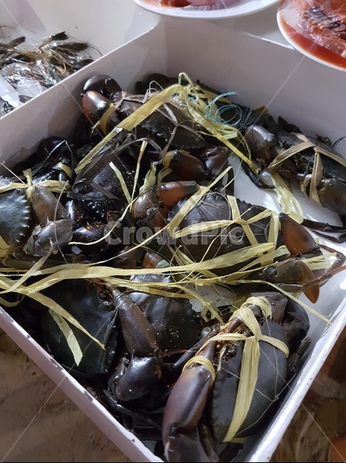 알리망오,해산물,게,음식,맛있는,음식,식재료,요리,food,cook,meal,dishes,food reserves,수산물,해산물,fishery products,seafood
