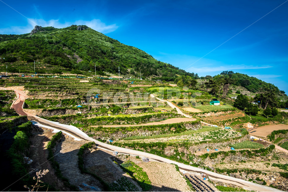 풍경,시골풍경,시골마을,다랭이마을,논,자연,풍경,nature,landscape,한국자연풍경,한국자연경관,korea nature landscape,시골,마을,country,rural,town,scenery,outdoors,옥외,경치,aerial view,조감도