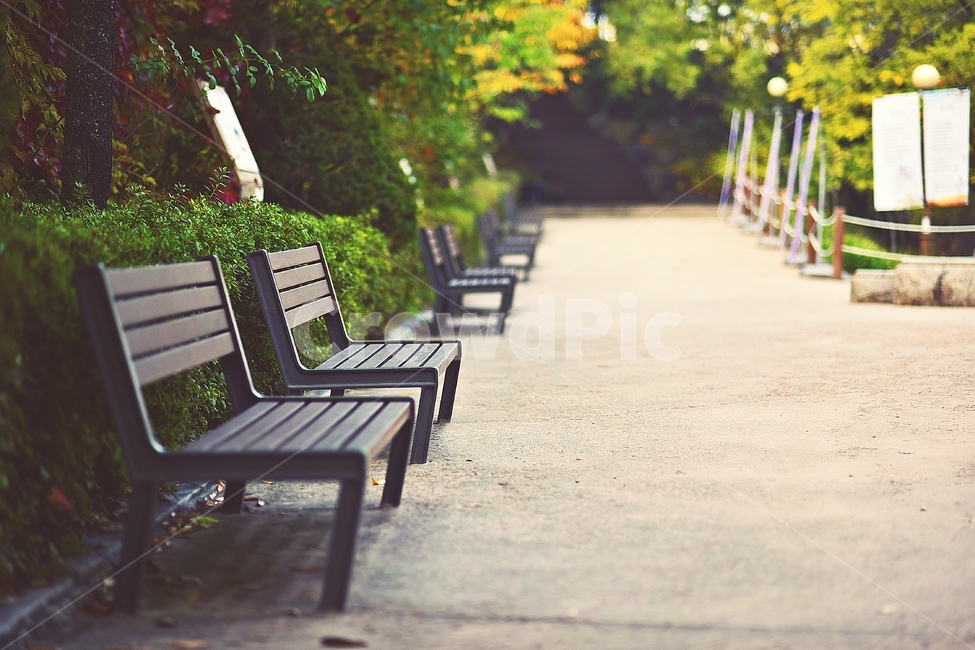 가을,벤치,감성,풍경,autumn,가을,계절,fall,autumn,season,휴식,힐링,rest,relaxation,healing,furniture,가구,bench
