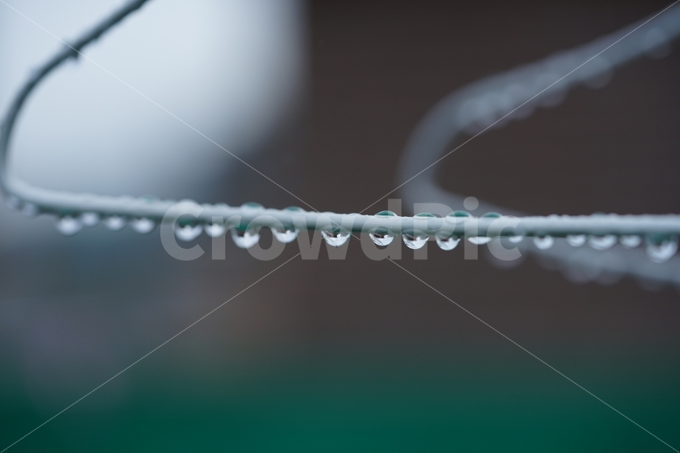 	물방울,빗물,비,물,접사,감성,감성사진,느낌,풍경,비오는날,레인,rain,옷걸이,빗소리,워터,일상,풍경사진,감정,율동,비,비오는날,rain,rainy,감성,sensible,feeling
