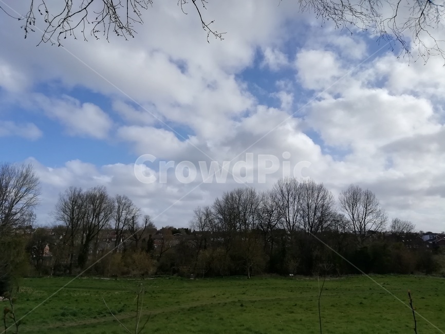 nature,자연,outdoors,옥외,plant,잔디,식물,grass,rural,풍경,구름,clouds,나무,trees