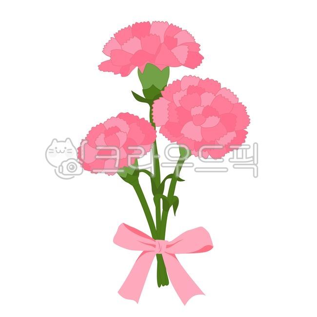 pink carnation,carnation,Make a card,thanks,notification,draft,season,Thank you,Carnation illustration,Teachers Day Materials,announcement,floral,family month,Activity data,ribbon,Day care Center,bouquet,Parents Day Materials,Mothers Day,May 8th,Parents D