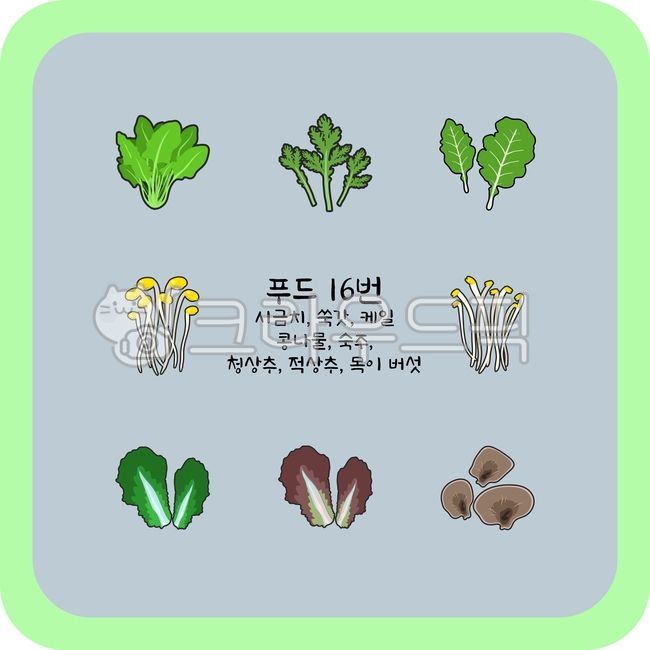 spinach,green lettuce,Kale,vegetable,host,Food Ingredients,ingredients,For educational use,Herbs,green,set,Bean sprouts,For learning,red lettuce,food,Several,Mugwort,Wood ear mushroom,painting,various,plant,illustration