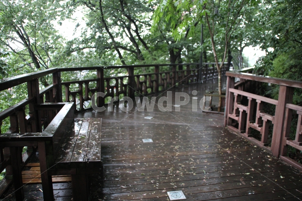 산,의자,길,나무,비온뒤,자연,풍경,nature,landscape,비,비오는날,rain,rainy,wood