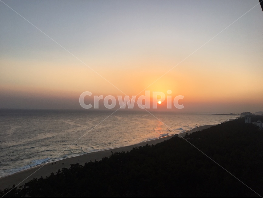 노을,바다,일출,숲,시작,주황,풍경,자연,새해,해돋이,희망,hope,sunrise,nature,sunset,한국