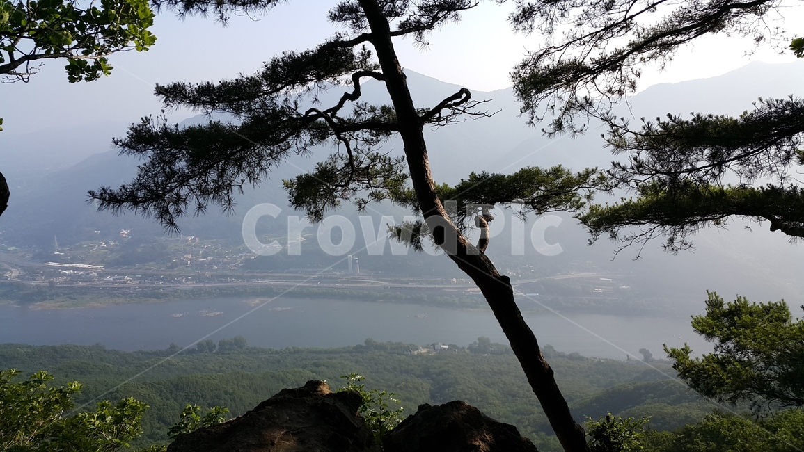 나무,산,강,경치,소나무,푸른,안개