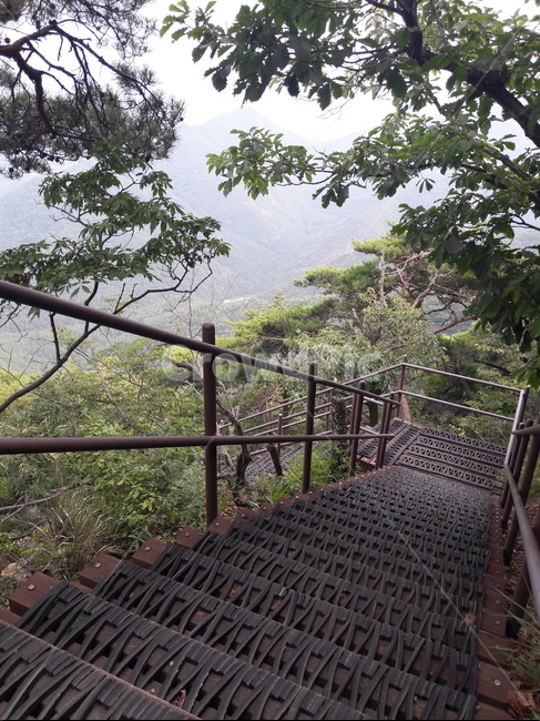 수통골,산행,등산,나무데크,트레킹,자연,풍경,nature,landscape,handrail,난간,banister,railing