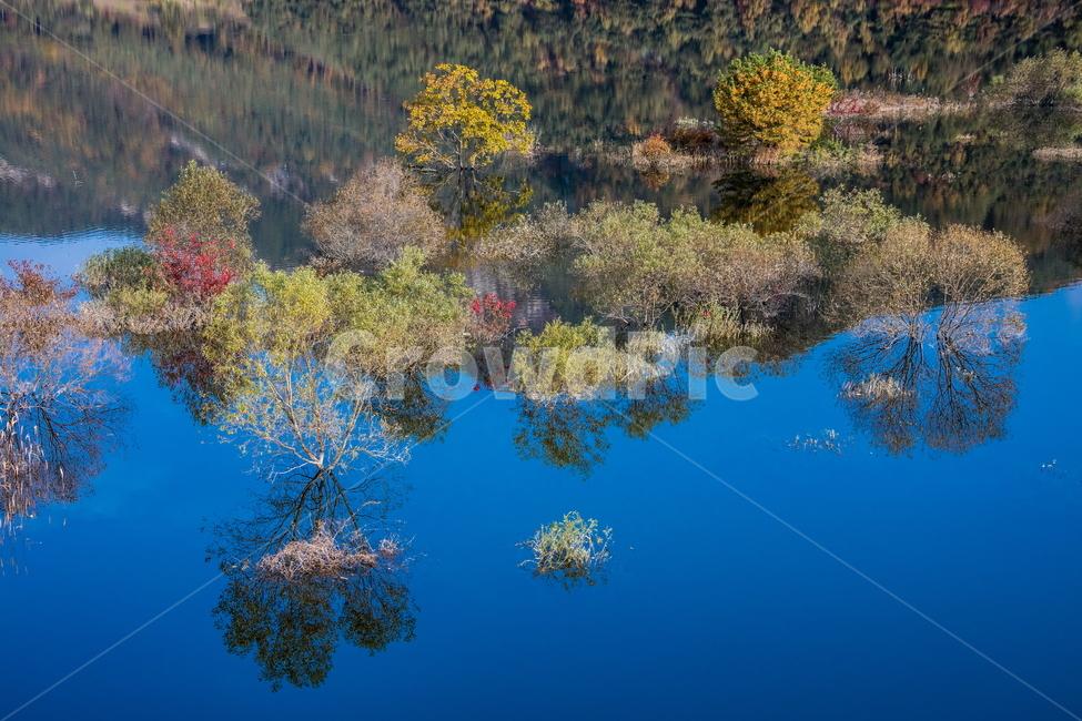 가을풍경,가을,반영,자연,nature,용담호,tree,plant,가을,계절,fall,autumn,season,자연,풍경,nature,landscape,한국자연풍경,한국자연경관,korea nature landscape