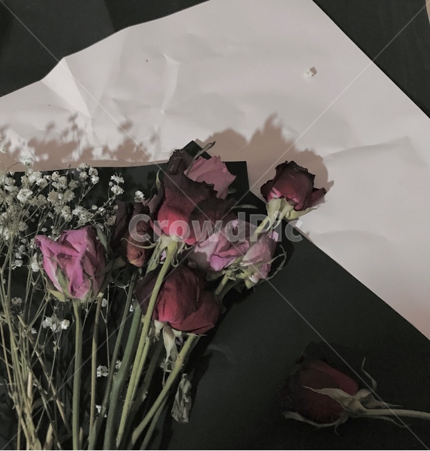 꽃다발,장미꽃,안개꽃,드라이플라워,장미꽃다발,rose,꽃,flower,dryflower