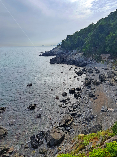 바다,물,해안,돌,연안,풍경,배경,세로