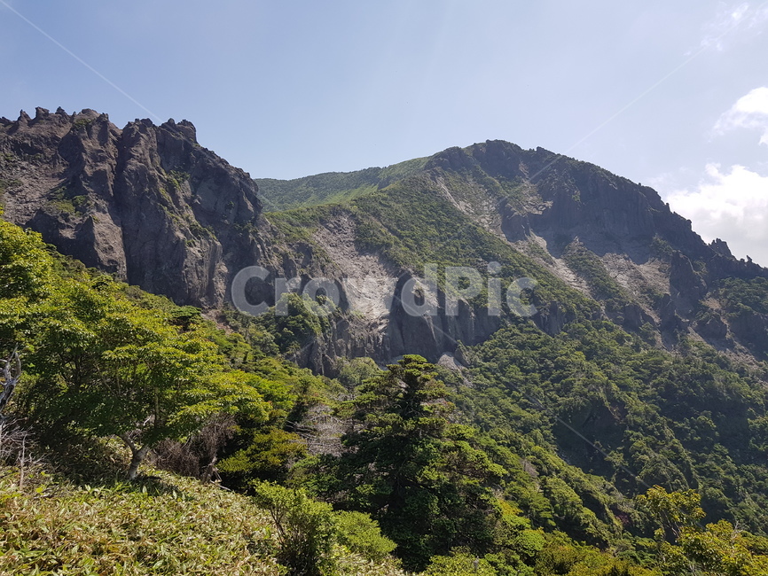 배경화면,자연풍경,경치,한라산,자연배경,등산,나무,산,등산길,제주도,한라산등산,여름,가을,하늘,자연,배경,풍경,멋진경치,nature,언덕,hill,옥외