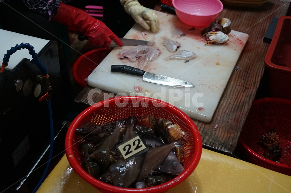 횟집,막회,회,생선,물고기,음식,어시장,시장,횟감,시장,마트,마켓,market,mart,market place