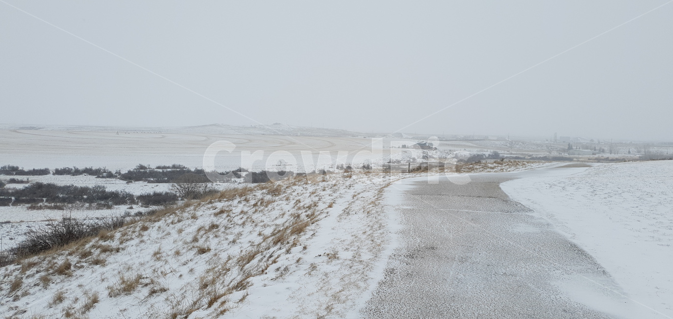 눈,겨울,산책로,canada,snow,nature,자연