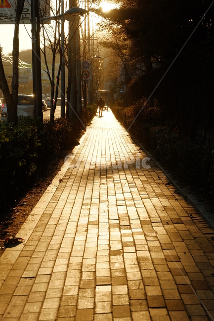 길,오후,역광,해질녘,산책,노을