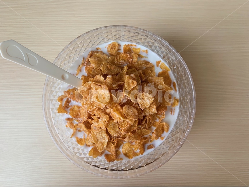 breakfast,아침식사,oatmeal,오트밀,food,식품,씨리얼,그릇,우유,음식,음식,식재료,요리,food,cook,meal,dishes,food reserves,아침식사,조식,브런치,breakfast,brunch