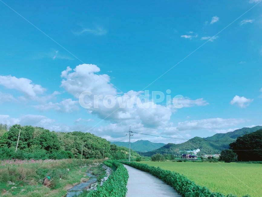 시골길,nature,길,구름,자연,자연,풍경,nature,landscape