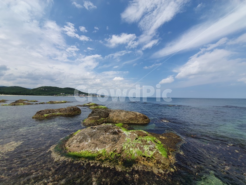 바다,eastsea,맑은하늘,울진,동해안,바위,자연,풍경,nature,landscape,plant,식물,algae,조류