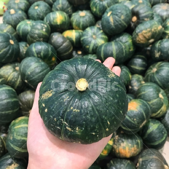 단호박,마트,장보기,야채,채소