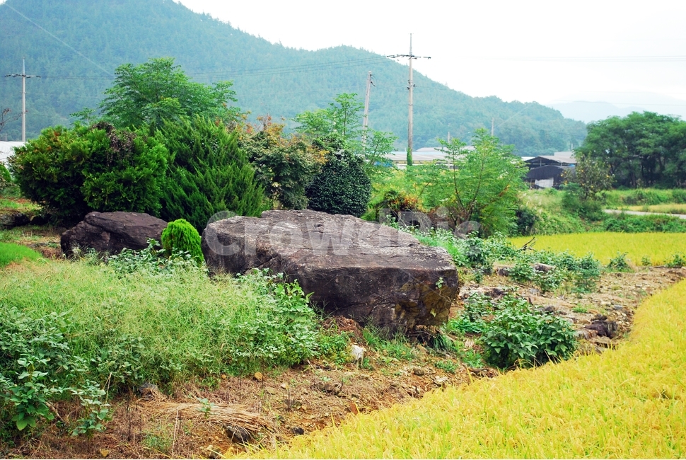 고인돌,유적지,가을,들녘,추수,큰돌,청동기,시골,마을,풍경,landscape,country,rural,town