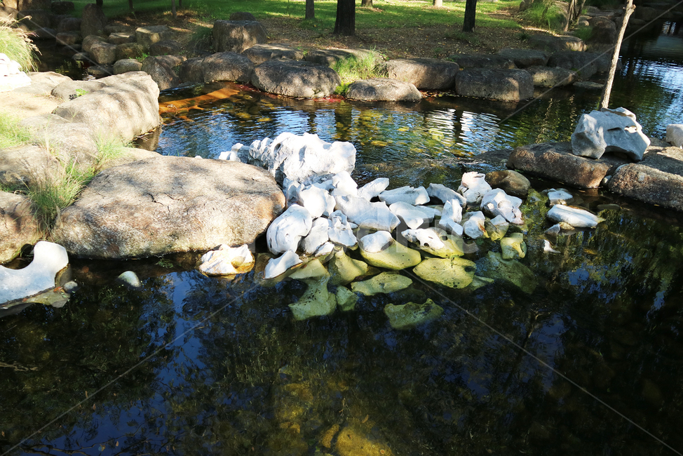 돌,물,호수,정원,연못,공원,water,nature,자연,outdoors,옥외,pond,못,자연,풍경,nature,landscape