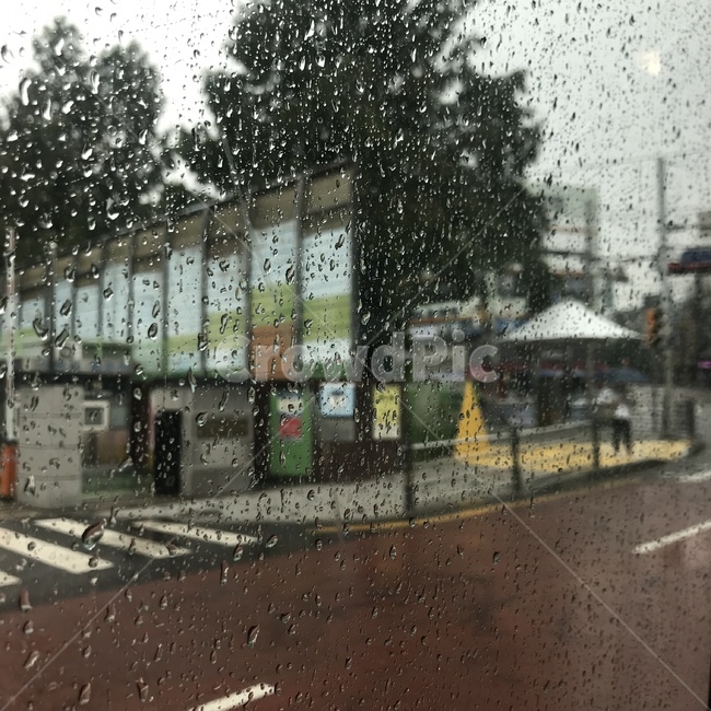 비,rain,bus,버스,도로,road