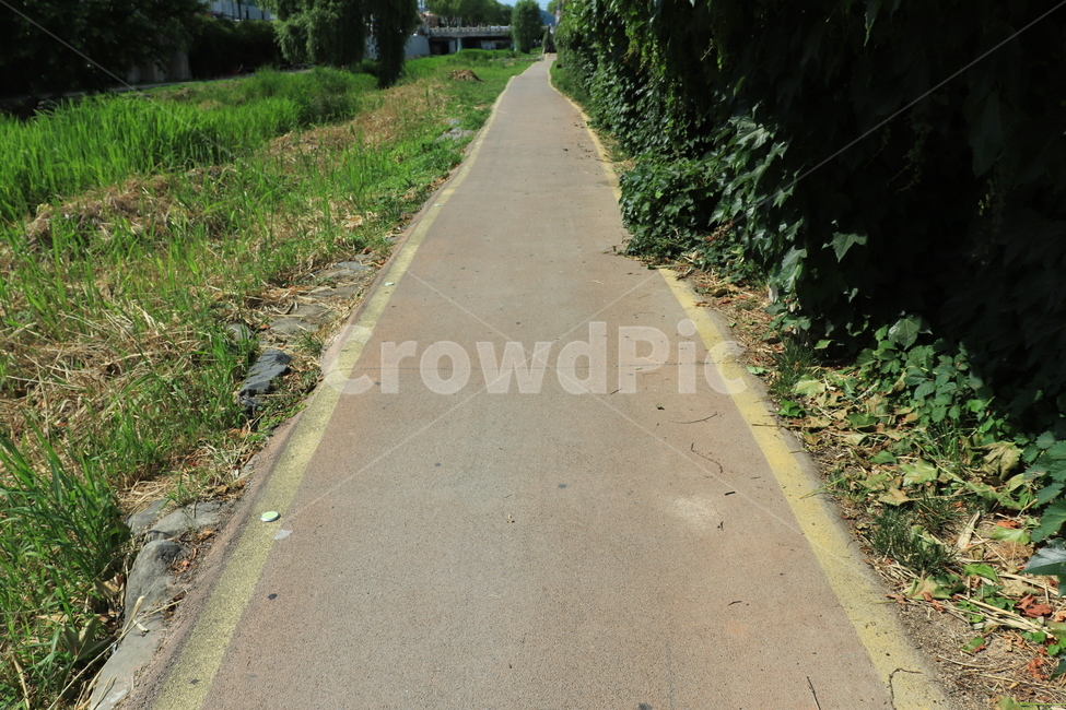 길,road,산책로,street,한적한길,공원