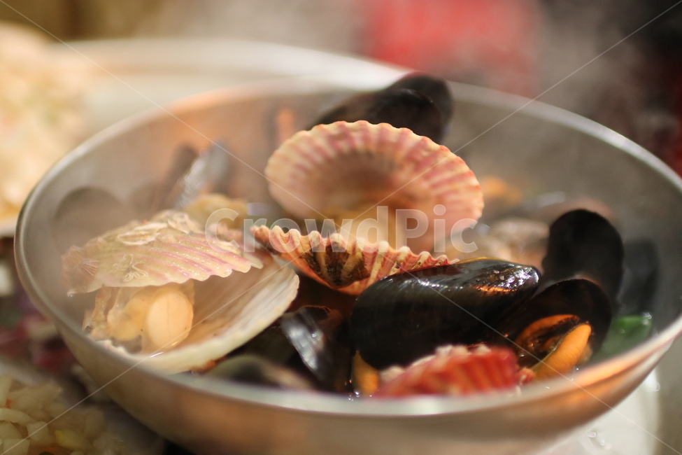 요리,음식,dish,조개,대합,가리비,음식,식재료,요리,food,cook,meal,dishes,food reserves