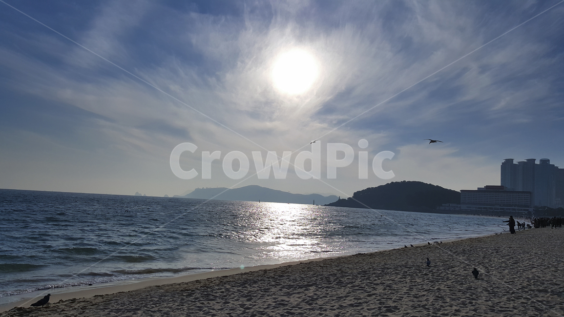 바다,해운대,부산,풍경,바닷가