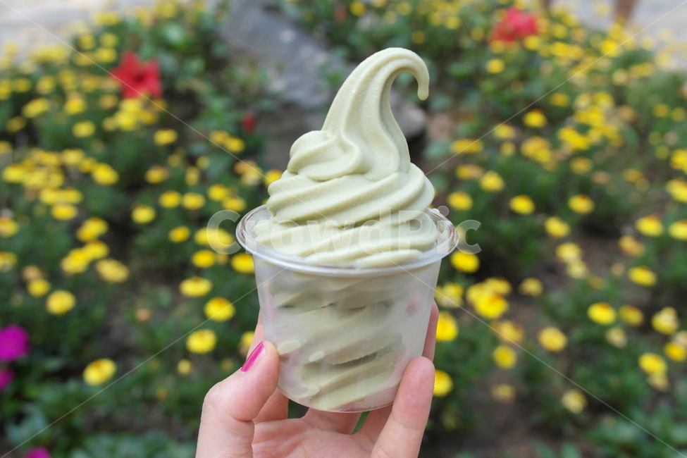 icecream,아이스크림,디저트,보성,녹차밭,디저트,간식,후식,dessert,snack