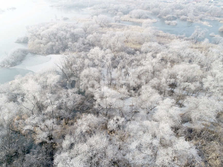 상고대,서리발,겨울,겨울풍경,서리,소양강,눈,나무,겨울,계절,winter,season,자연,풍경,nature,landscape,outdoors,옥외