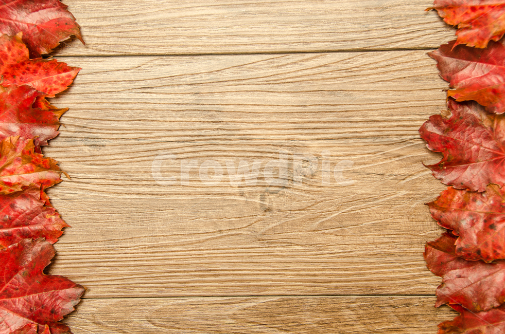 가을,단풍,낙엽,백그라운드,테이블,배경,디자인,바닥,틀,잎,자연,나무,컨셉,테두리,보드,데크,나뭇잎,계절,가을,계절,fall,autumn,season