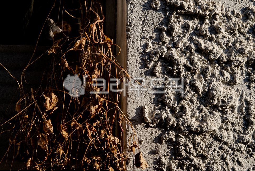 concrete,reversal,gray,Harmony,brown,wall,Emotional photo