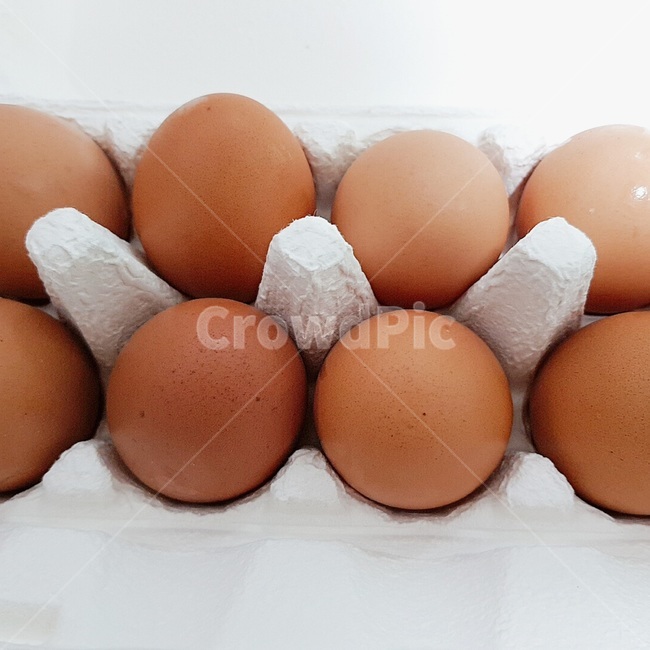 음식,닭,치킨,달걀,계란,노른자