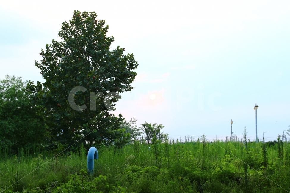 한강대교,경치,풍경,자연,여가,자연,풍경,nature,landscape,여름,계절,summer,season,tree,나무,plant,식물,vegetation,초목