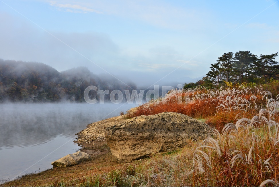 mountain,mountainrange,산맥,plant,식물,nature,자연,weather,날씨,outdoors,옥외,화순,동복,동복저수지,저수지상류,억새,가을,계절,추색,만추