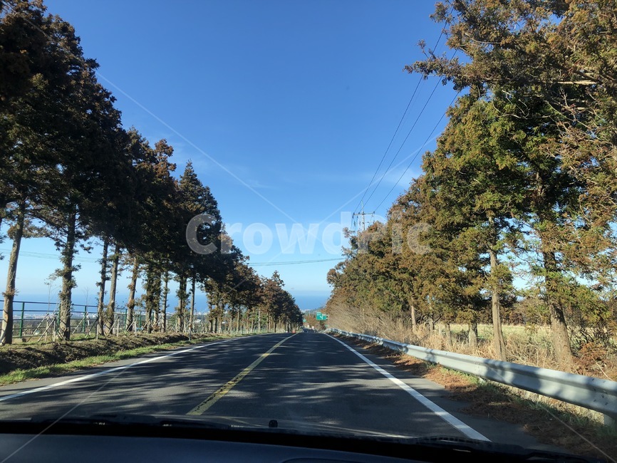 제주가로수,목장,제주풍경,브이로그,편안한,자연,풍경,nature,landscape,asphalt,아스팔트,road,도로,highway,고속도로,freeway,고속 도로