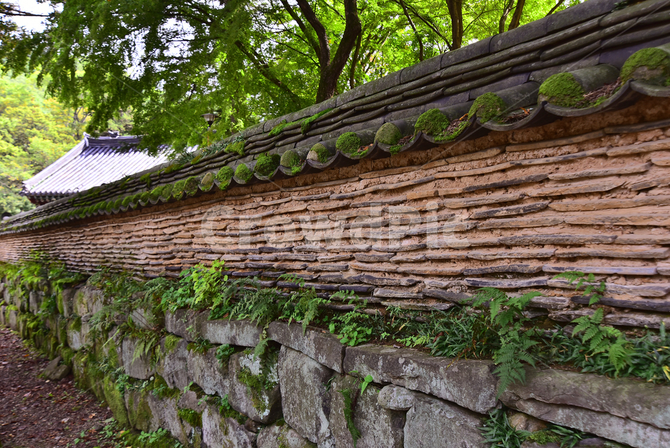 한국전통,돌담길,건축양식,건축물,기와지붕,traditional,이끼,세월,기와집,마곡사,절,사찰,울타리,담장,moss,plant,식물,wall,벽