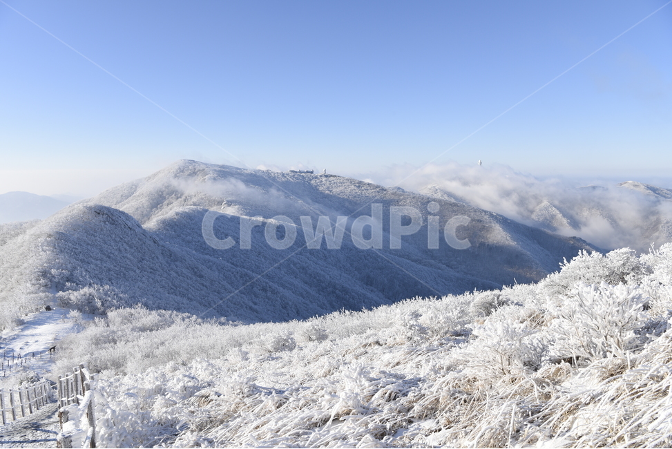소백산,상고대,눈꽃,소백능선,천문대,강우관측탑,겨울,계절,winter,season,자연,풍경,nature,landscape,한국자연풍경,한국자연경관,korea nature landscape,outdoors,옥외,mountain,산,ice,빙