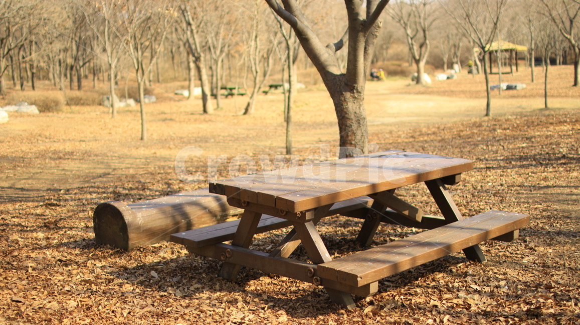 탁자,공원,테이블,의자,가을분위기,한가로움,나무의자,bench,wood