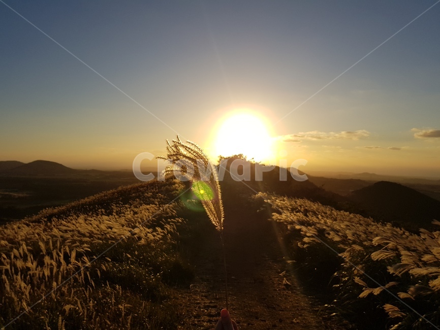 sunlight,햇빛,붕어빵,sunsrt,노을,하늘,태양,빛,light,플레어,flare