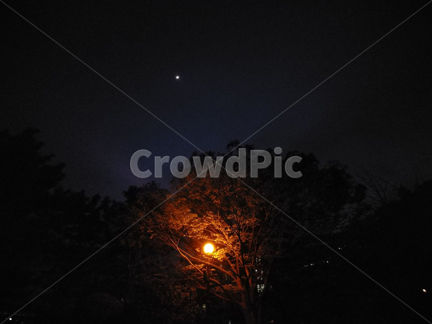감성사진,어둑어둑,야경,가로등,dim,streetlight,야경,밤,풍경,nightscape,night,landscape,nature,자연,outdoors,옥외