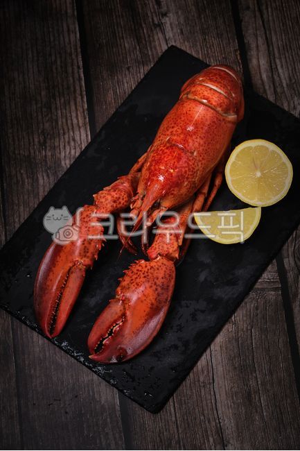 랍스타, 바다, 가재, 랍스타찜, 랍스터, 사진,이미지,일러스트,캘리그라피 - 베키v작가