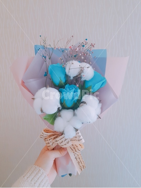 꽃,졸업식,목화,조화,튤립,꽃다발,다발,flower,안개꽃