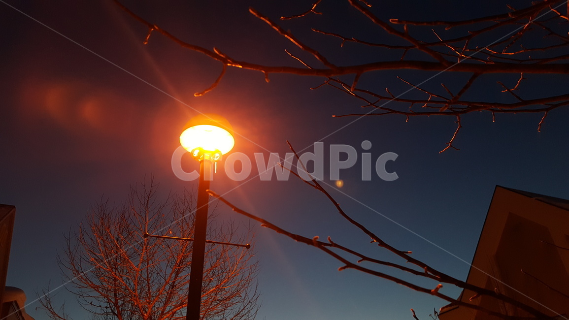 가로등,불빛,저녁,주황,나무,밤,어두운,하늘,감성,빛,lamp,tree,night,dark,sky,light,글귀배경,야경,밤,풍경,nightscape,night,landscape,lighting,조명