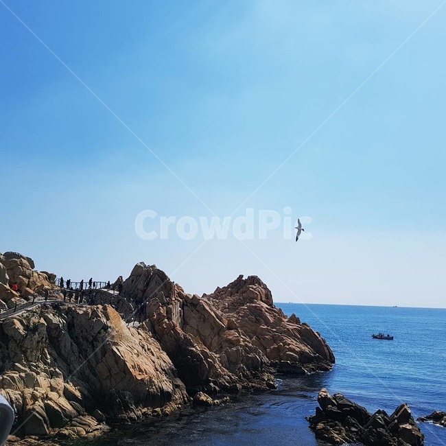 바다,바위섬,파란색,하늘,바다풍경,관광지,자연,풍경,nature,landscape,promontory,곶