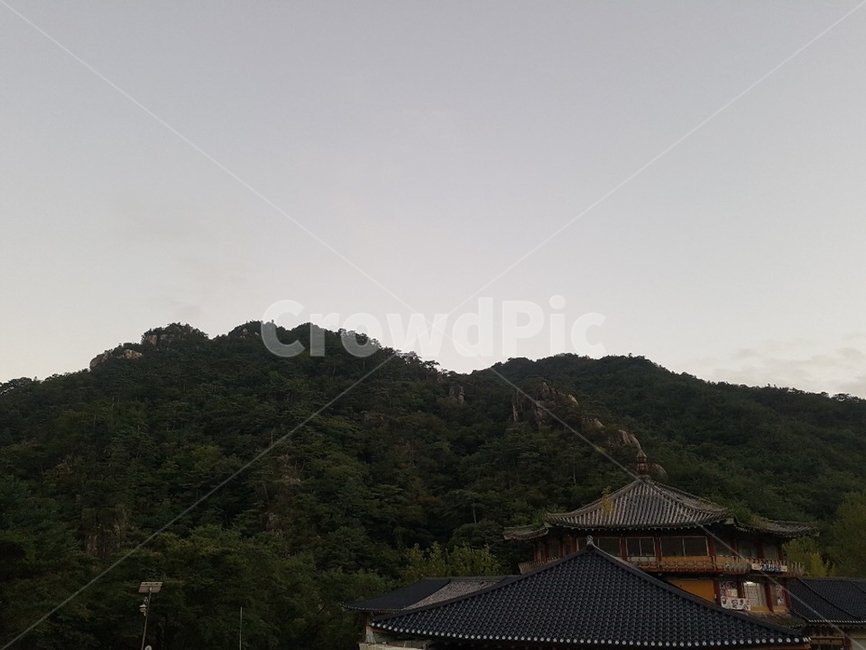 지붕,자연,산,배경,화면