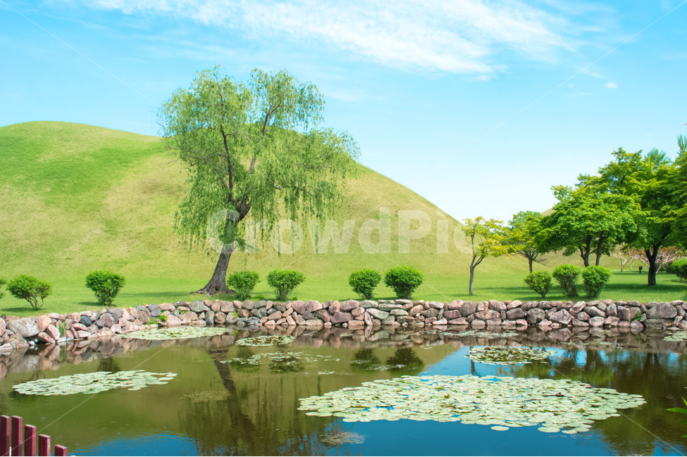 경주,대릉원,감성,자연,풍경,하늘,나무,연못,korea,landscape,유적지,nature,한국전통,한국문화,korean traditional,korean culture,랜드마크,landmark,tourist attraction,한국랜드마크,한국관광지,한국명소,korea landmark,korea tourist attraction