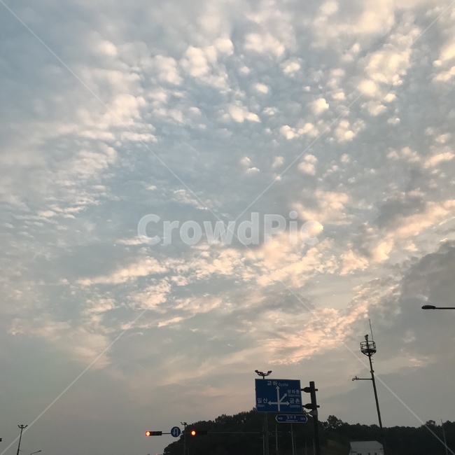 구름,하늘,맑은날,저녁,석양,일몰,여름,하늘색,풍경
