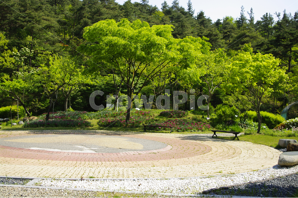 나무,숲,color,자연,풍경,초록,자연,풍경,nature,landscape,bench,벤치,grass,잔디,plant,식물,tree,park,공원,outdoors,옥외,lawn