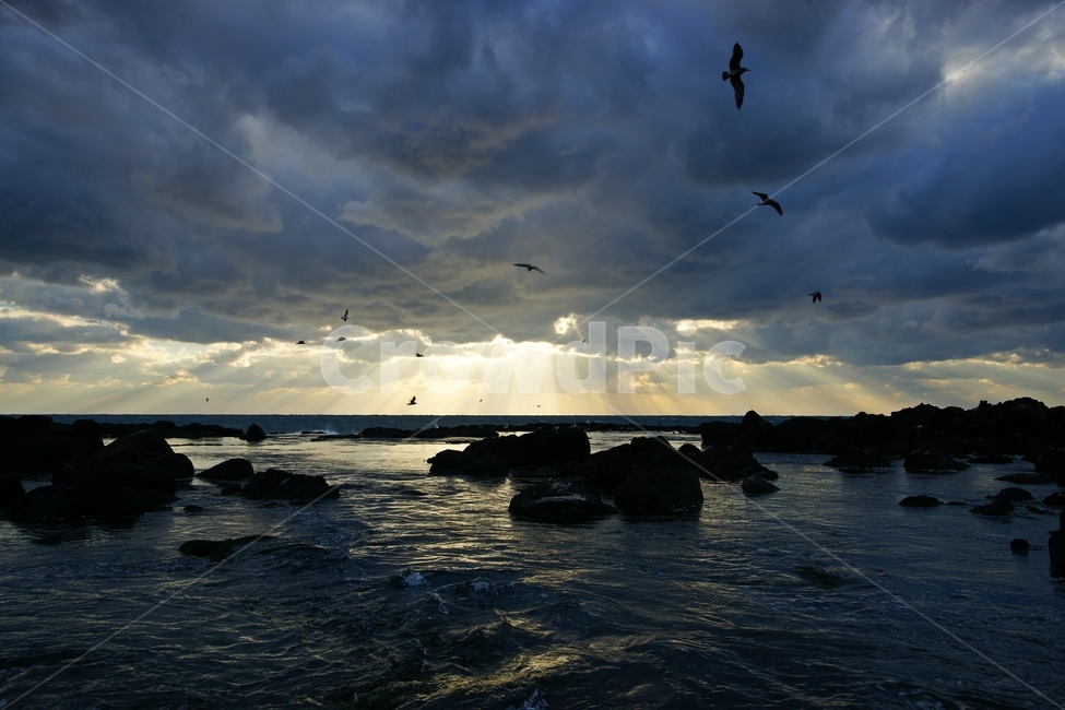 제주,겨울,바다,빛내림,석양,일몰,수월봉,자연,풍경,nature,landscape,animal,동물,bird,새